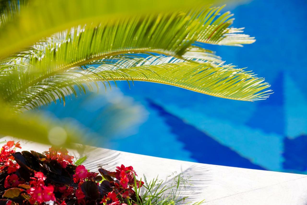 Villa Araucaria Casamicciola Terme Екстер'єр фото